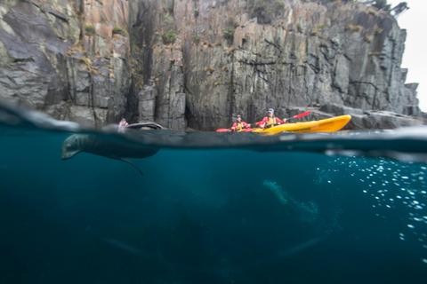 Tasman Peninsula Day Paddle