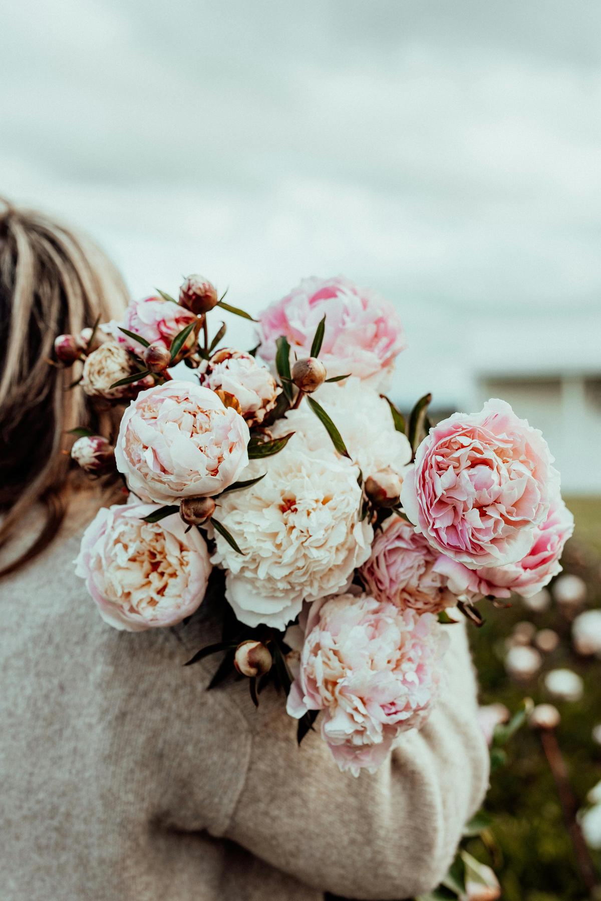 Peony flowers