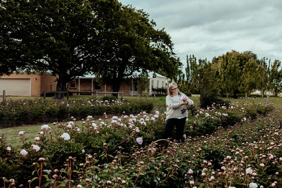 Peony Garden