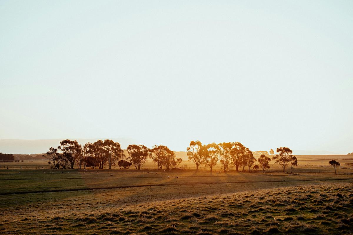 Chatsworth Tasmania