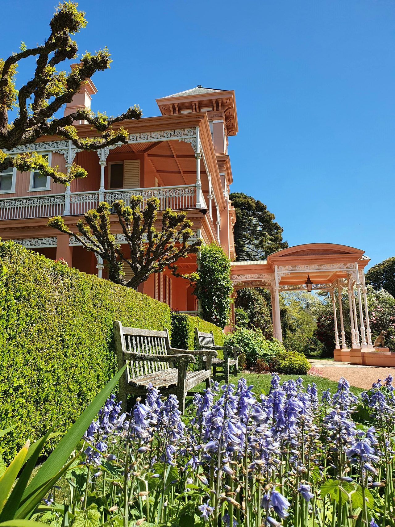 a side view of the pink Italianate Mansion at Retford park with blooming purple flowers