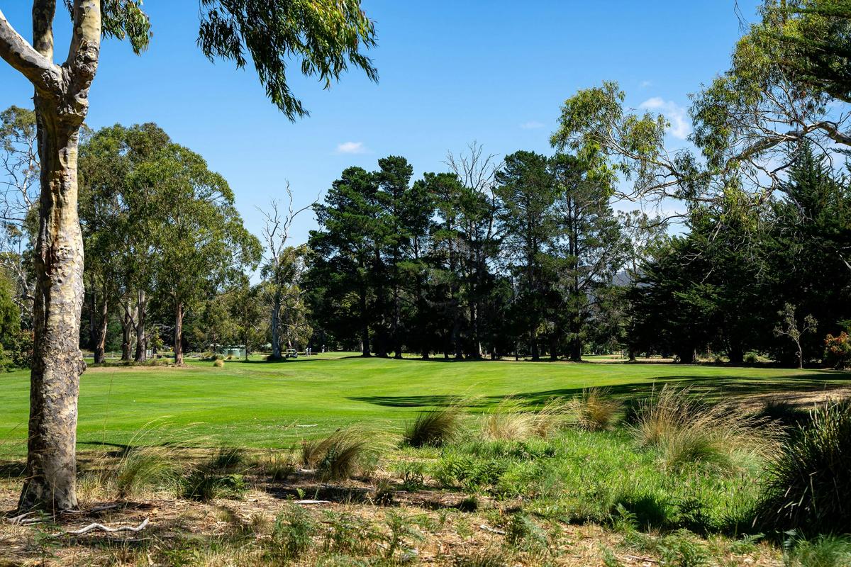 Golf course