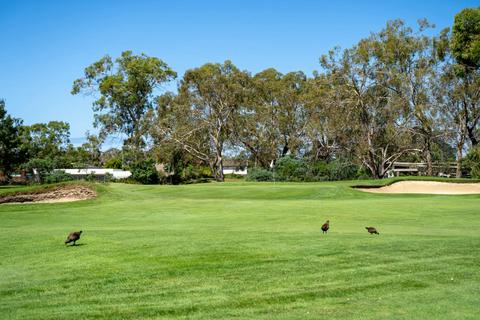 Royal Hobart Golf Club