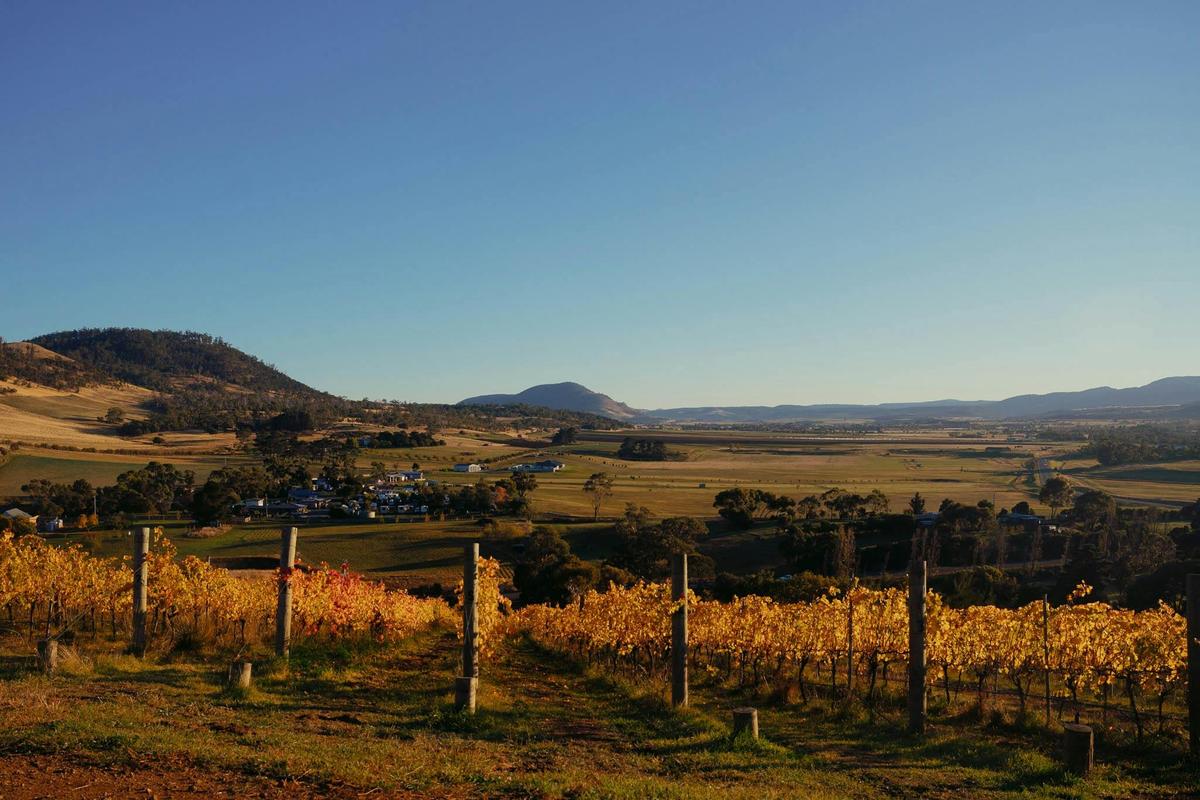 Butcher's Hill in Autumn