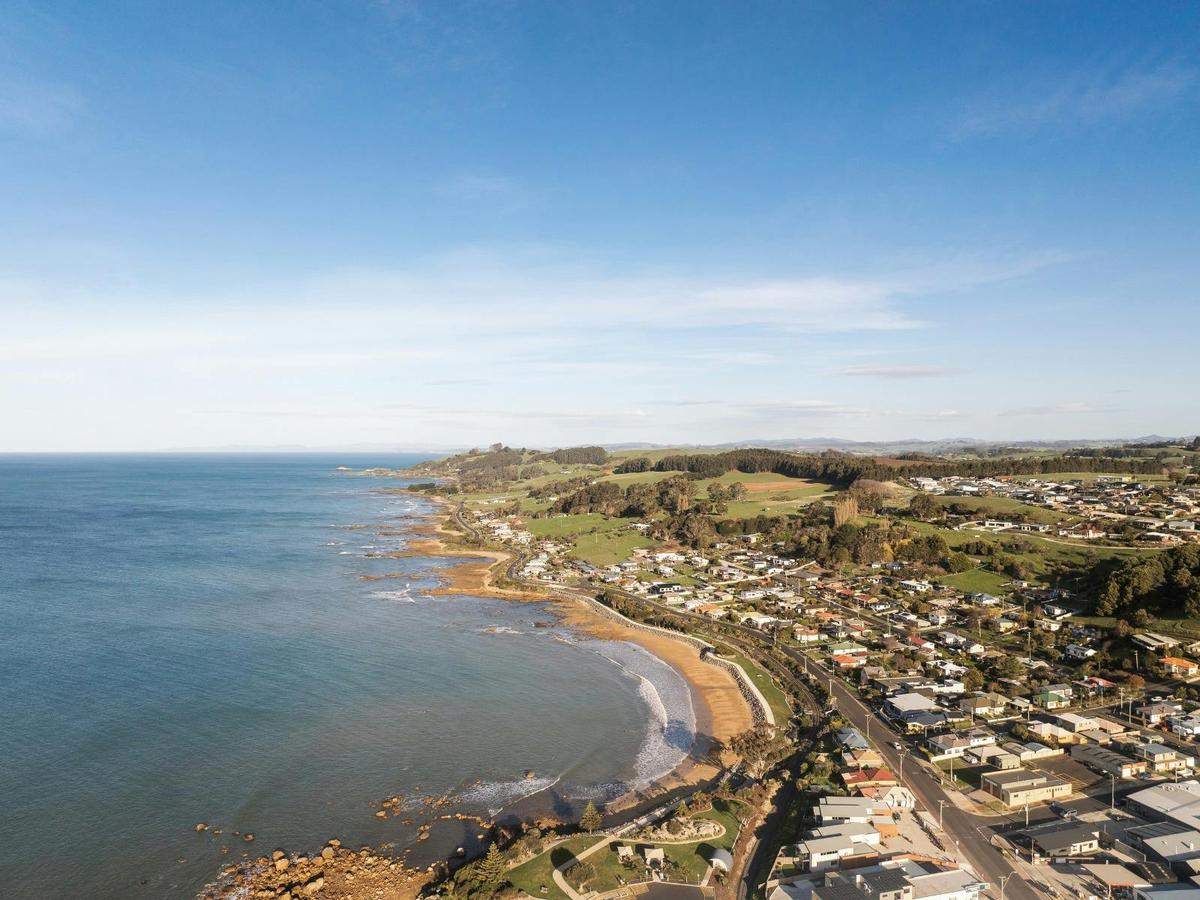 Drone image of Penguin