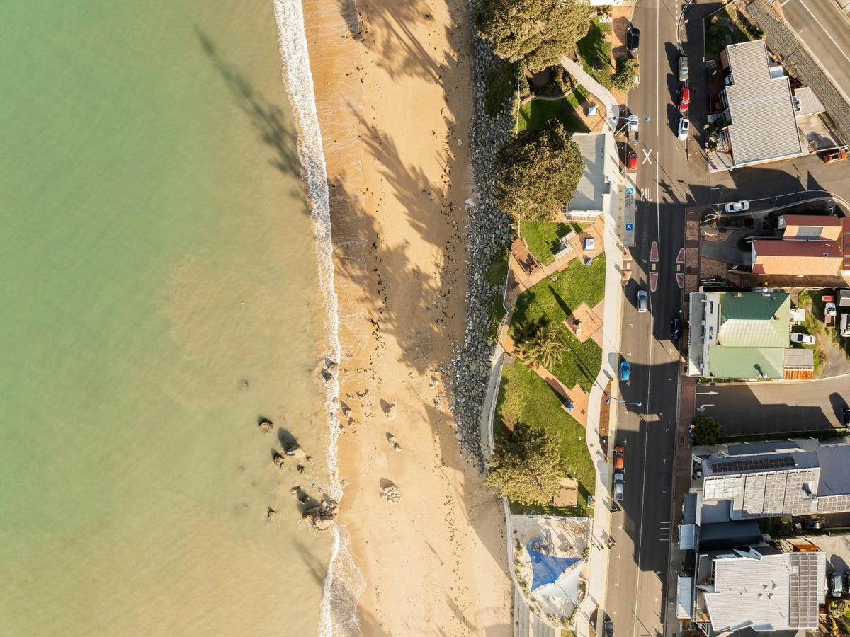 Drone image of Penguin