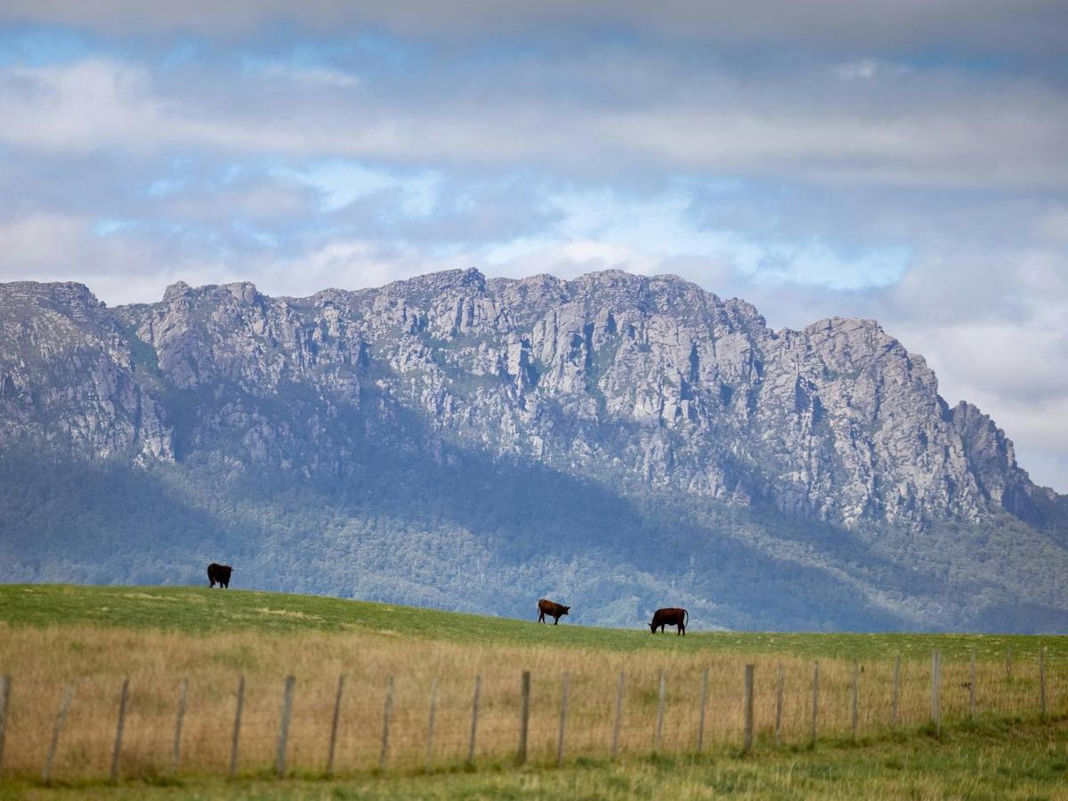 Mount Roland