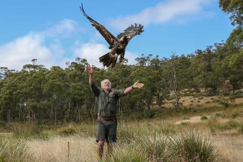 Raptor Refuge