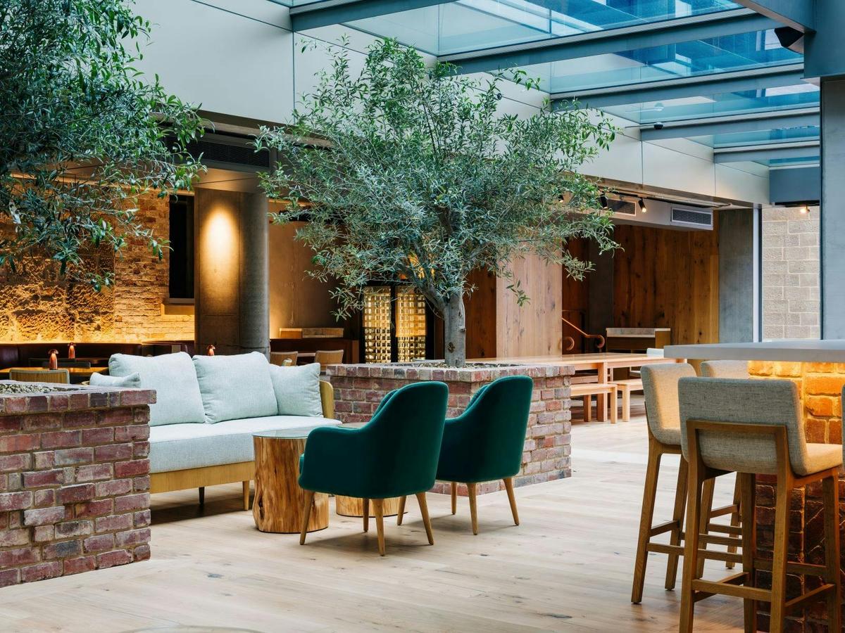Peppina offers a light filled atrium featuring mature olive trees