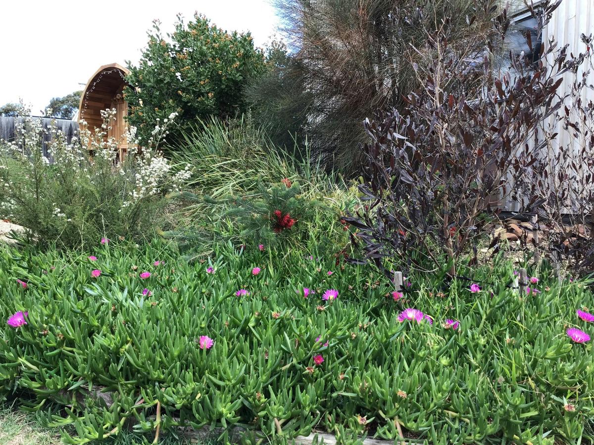 Native and edible gardens
