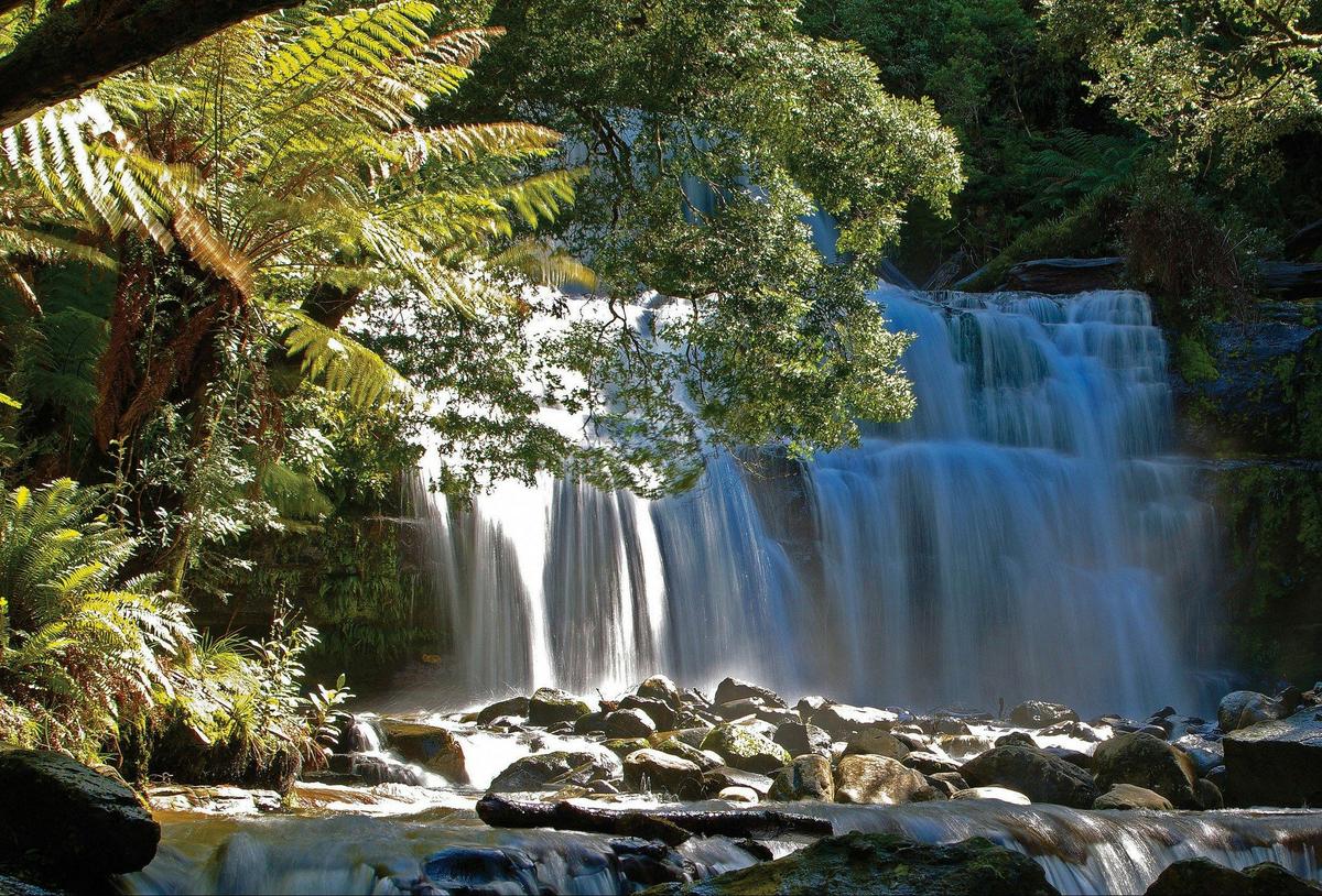 1 Day Tasmania's Wilderness and Wildlife (Small Group Tour)