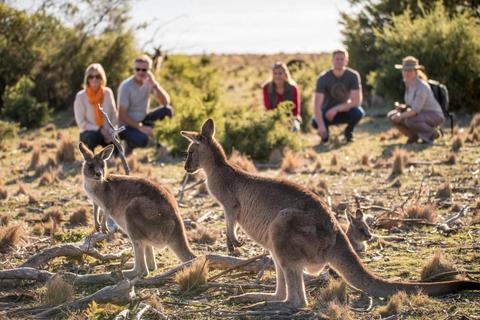 5 Day Ultimate Icons of Tasmania (Small Group Tour)