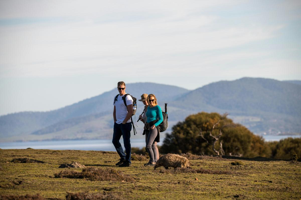 5 Day Ultimate Icons of Tasmania (Small Group Tour)