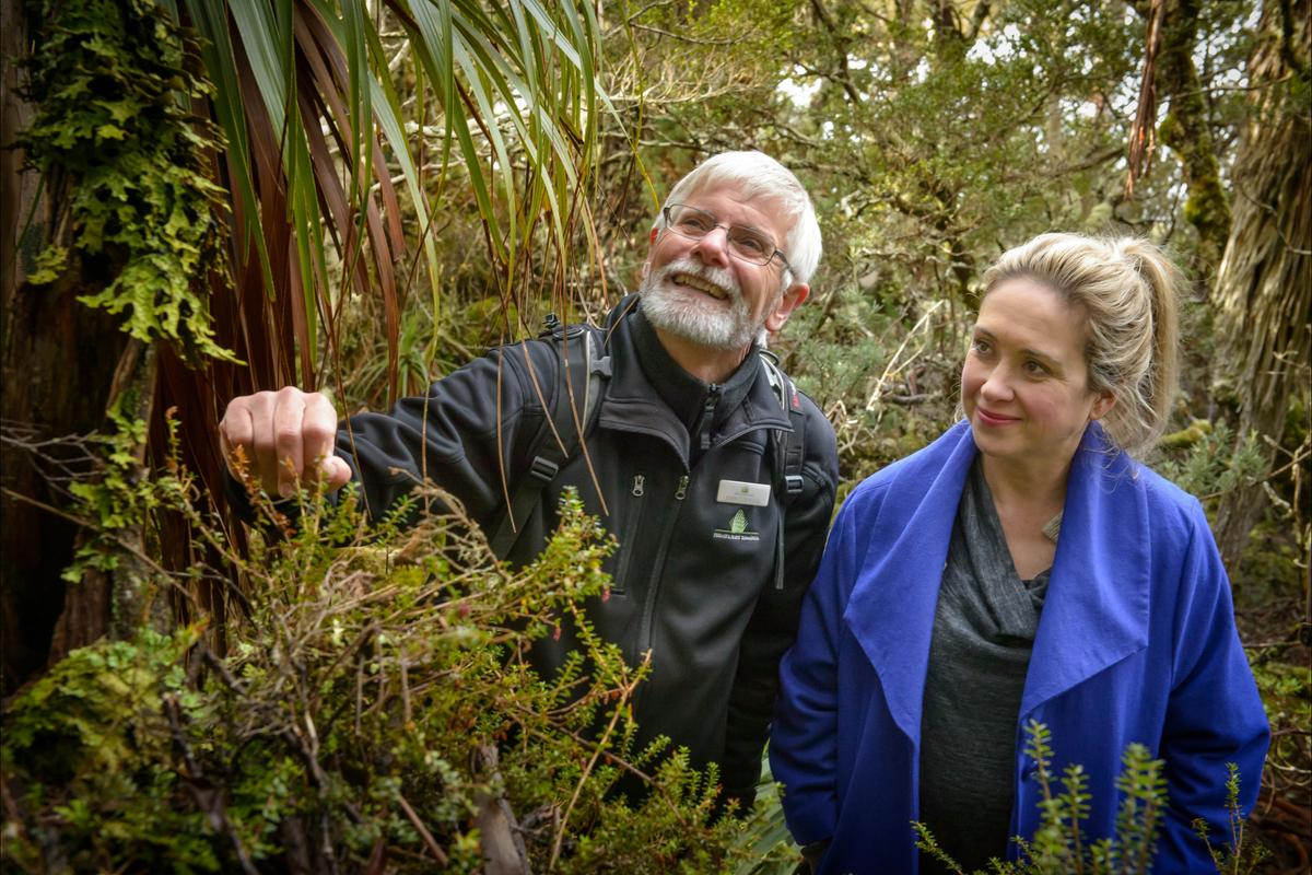 1 Day Tasmania's Wilderness and Wildlife (Small Group Tour)