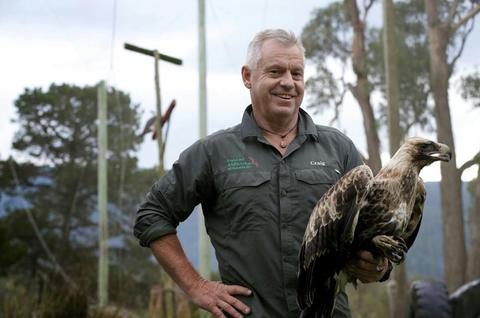 1 Day Birds and Raptors