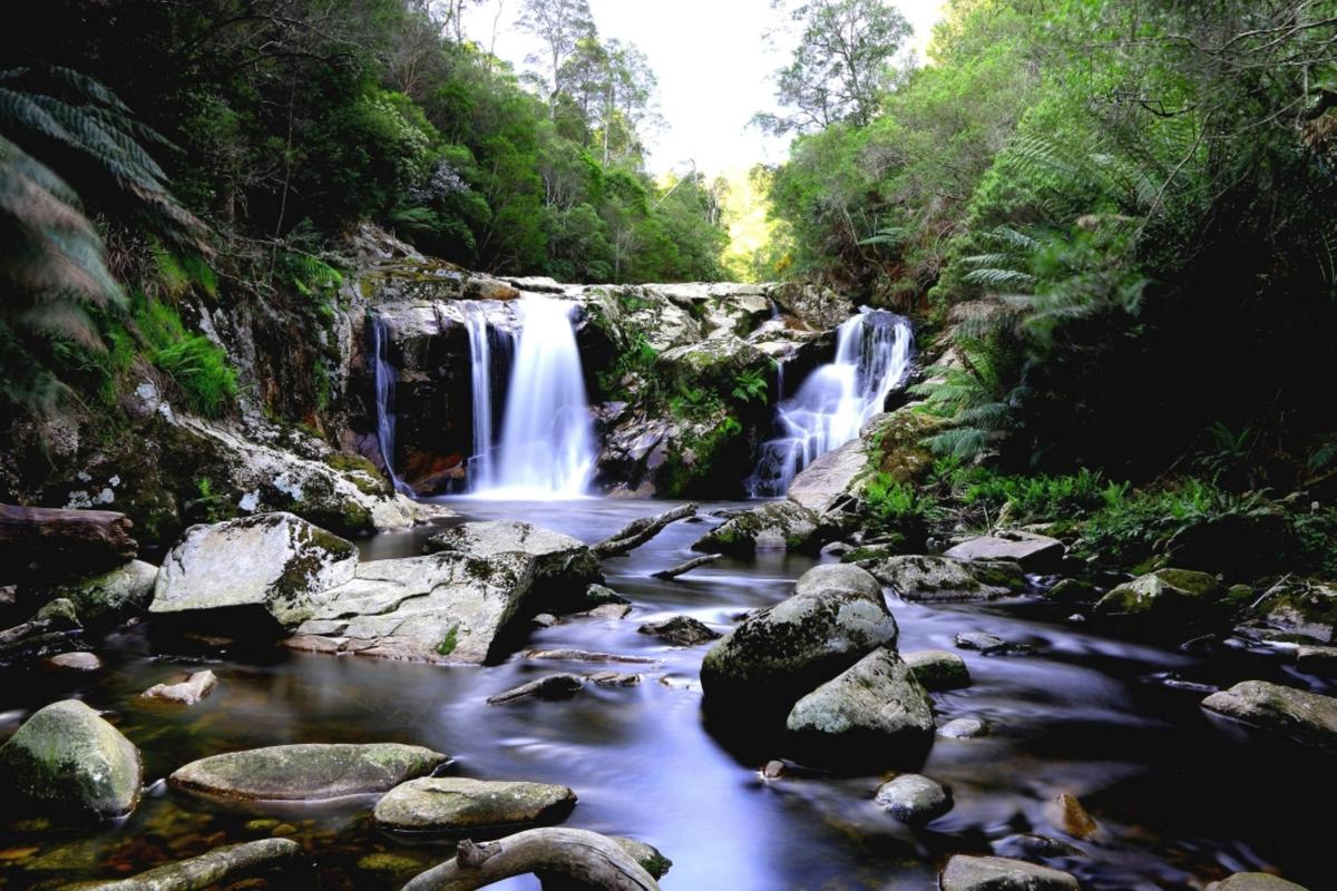 Waterfalls and Seascapes