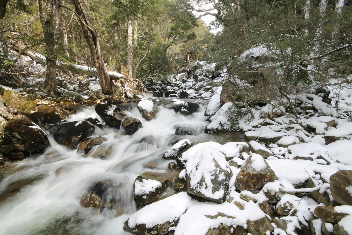 Meander Valley Falls Tour