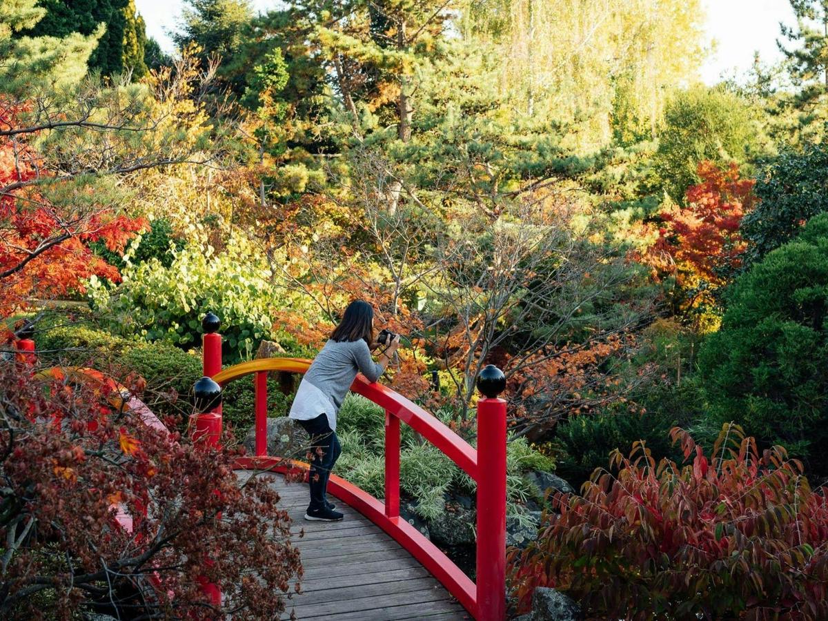 Japanese Gardens