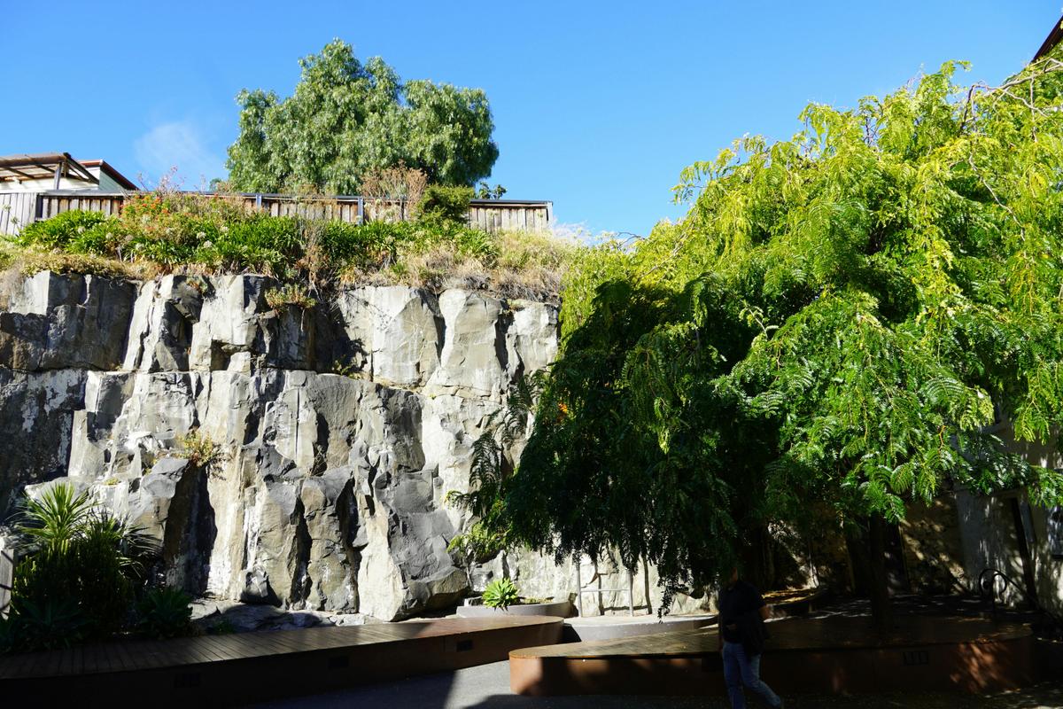 The courtyard with bright green trees and a bright blue sky above