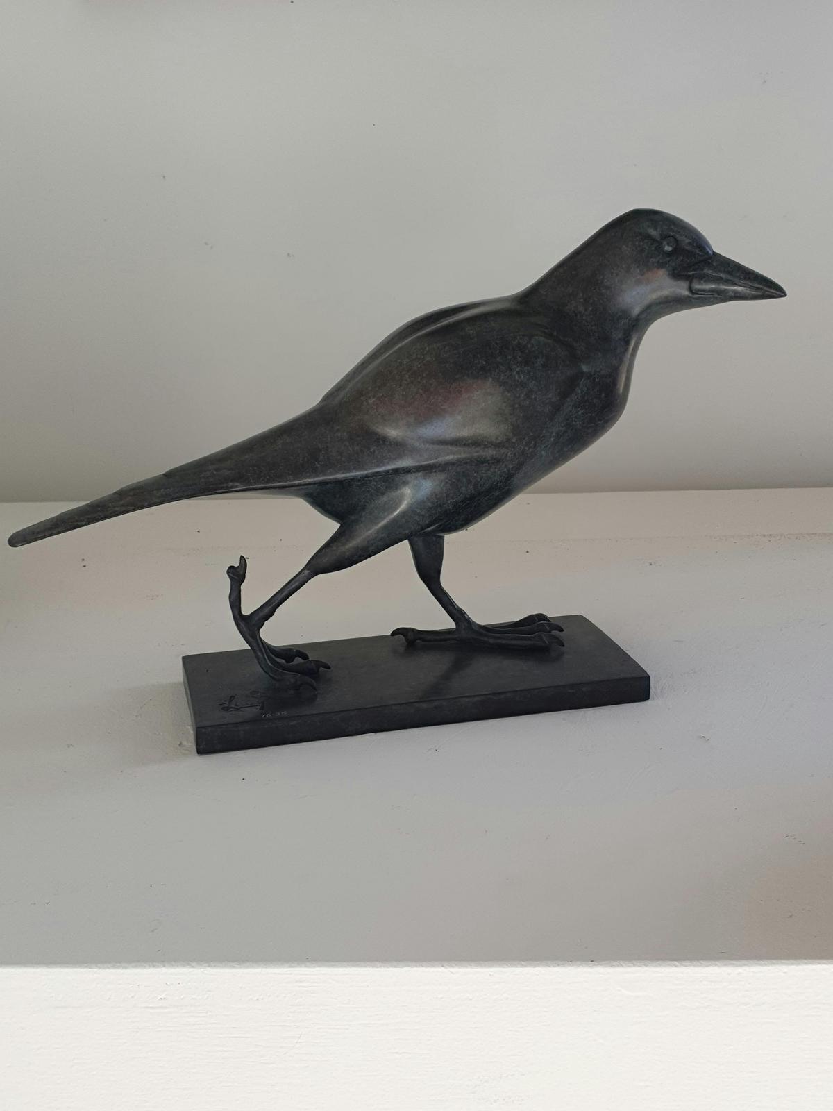 Longford Blooms - Celebrating Native Flora & Birdlife