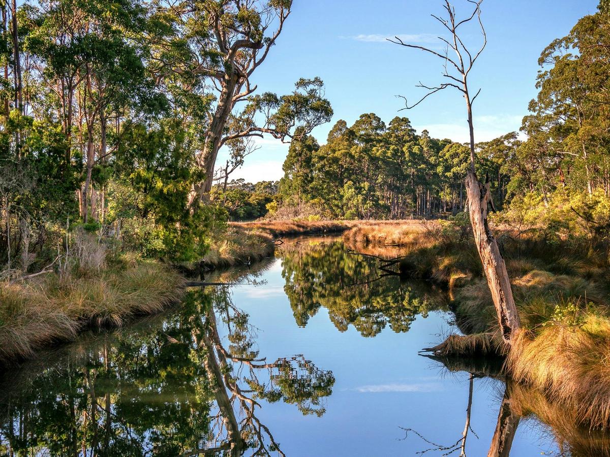 Saintys Creek Cottage: view of creek from bridge.