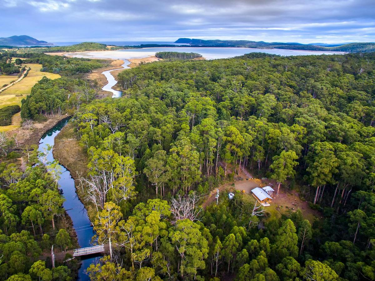 Saintys Creek Cottage: aerial view of Saintys Creek Cottage's forest and creek.