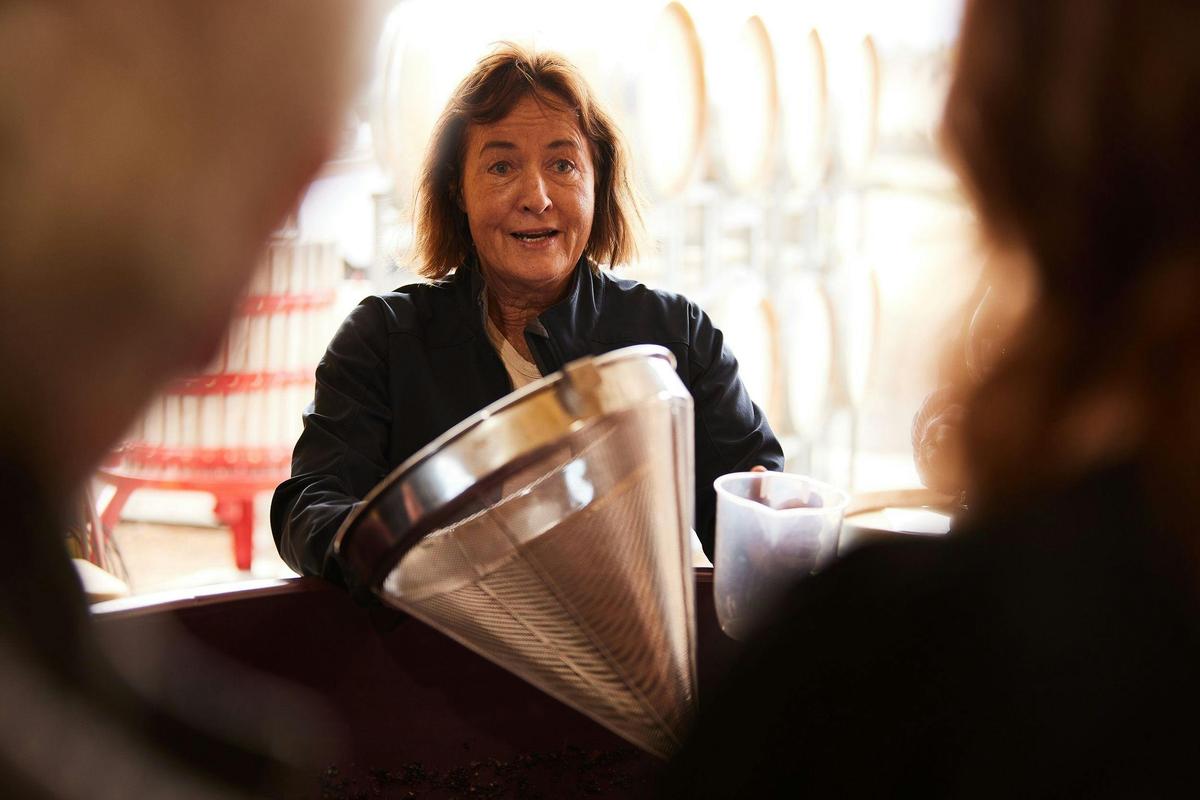 StelaVino guided wine tour: Full-day tour