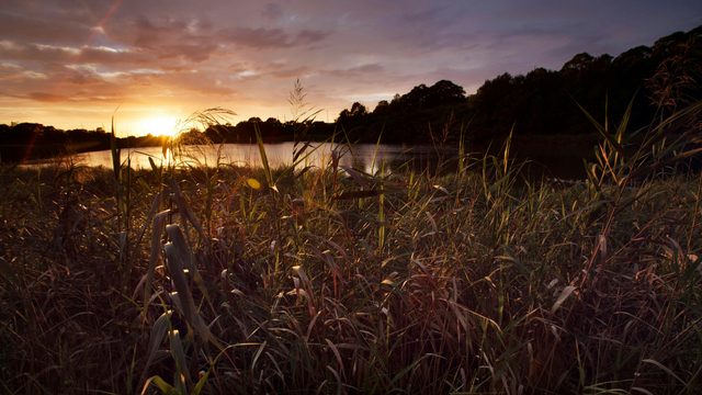 Spring Creek Wetlands and Bird Hide