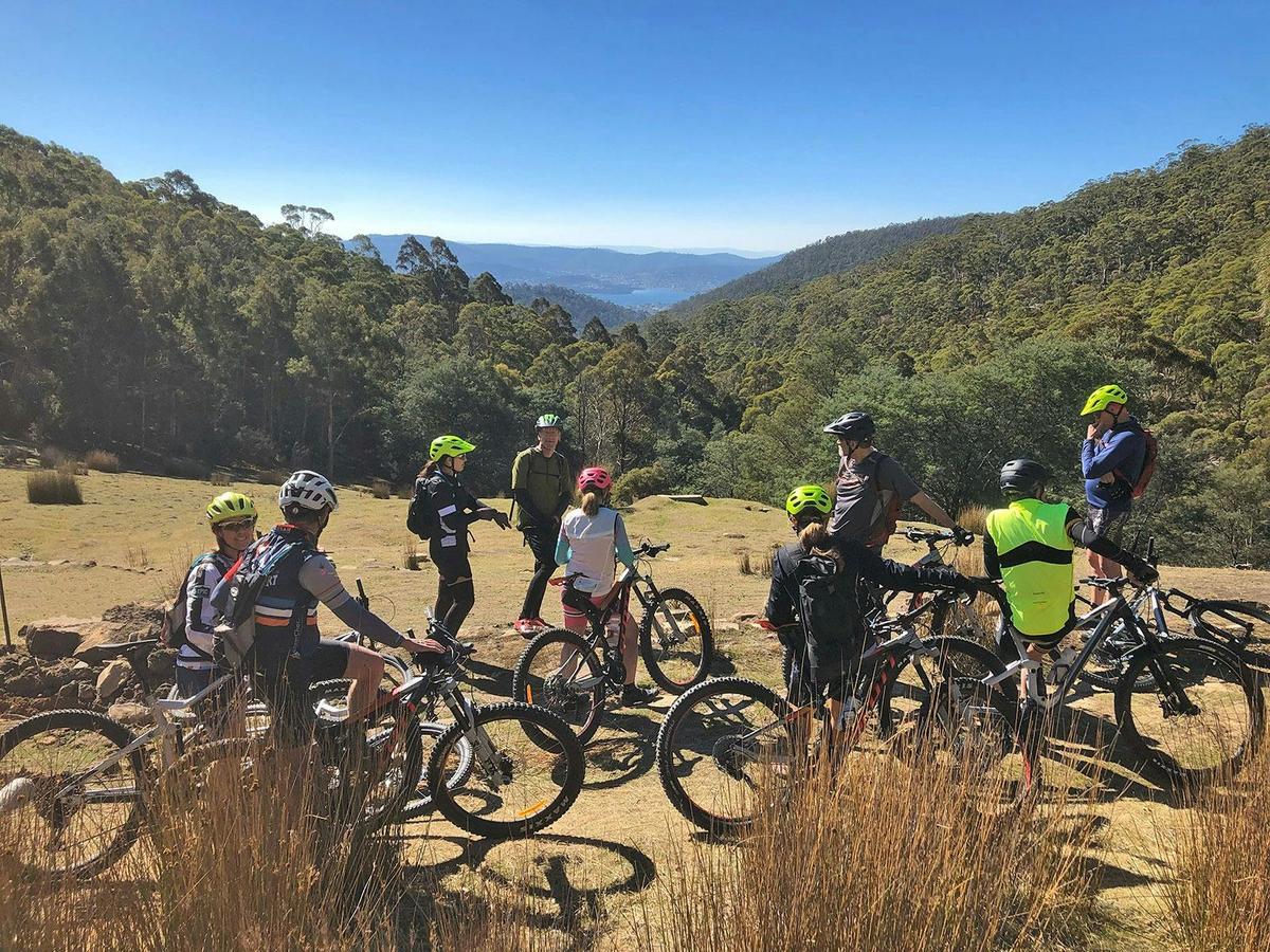 Mt Wellington Summit Descent & Rainforest Bike Ride