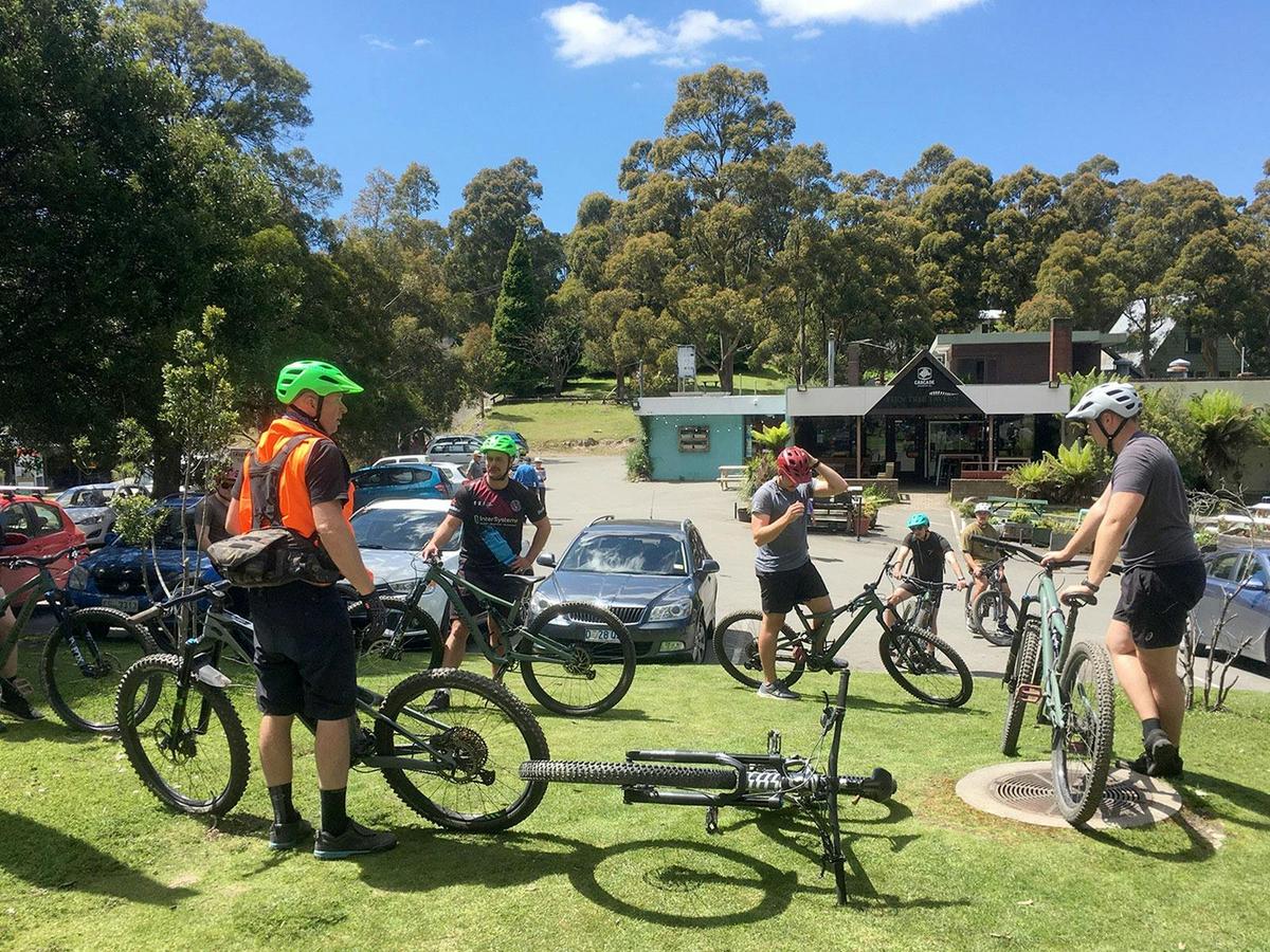 Mt Wellington Summit Descent & Rainforest Bike Ride
