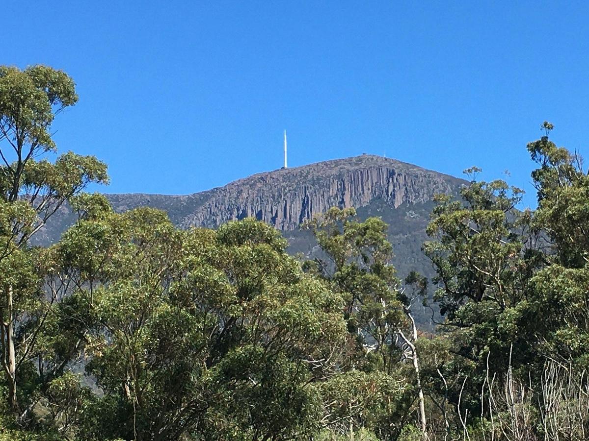 Mt Wellington Summit Descent & Rainforest Bike Ride