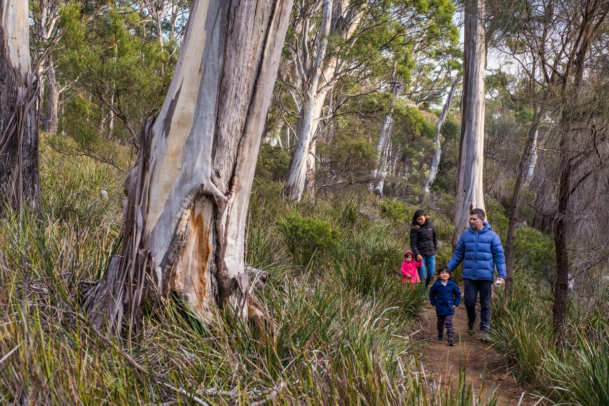 South Bruny National Park
