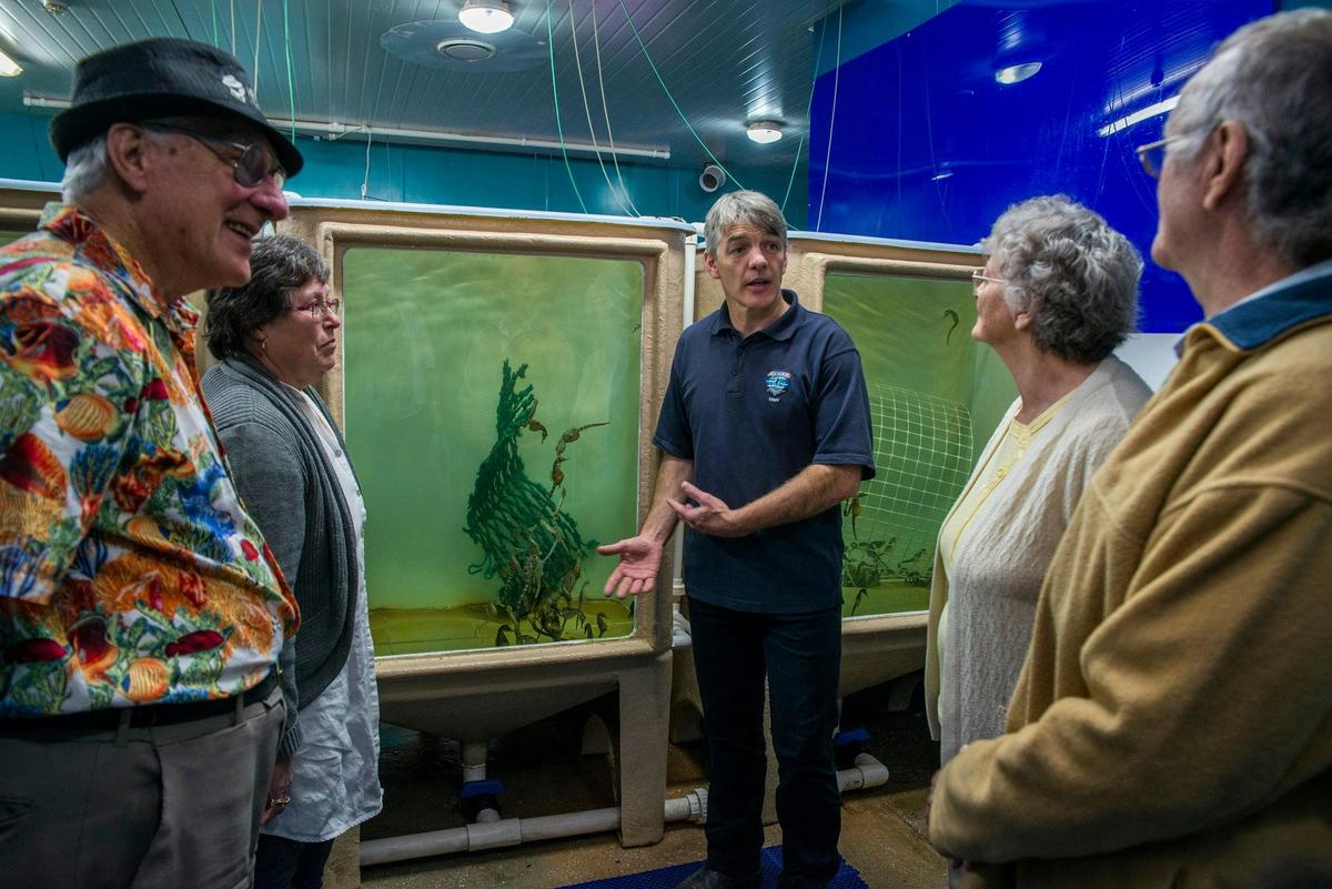 Guided tour at breeding tanks