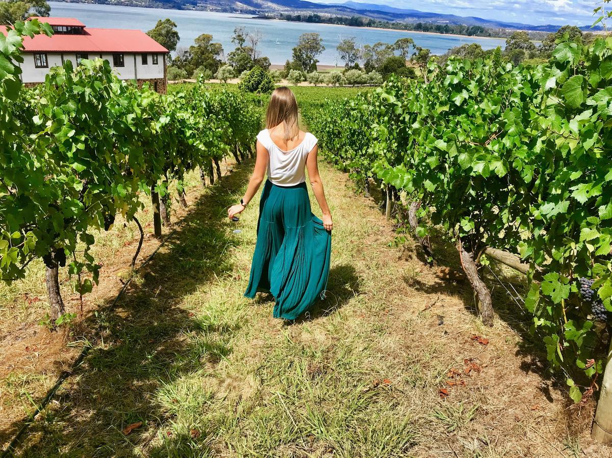 Discovery Wine Tour