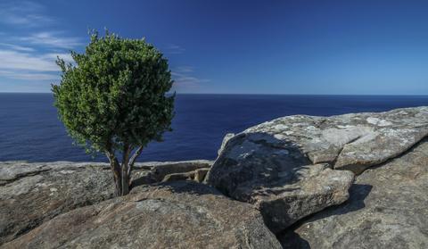 Tasman Coastal Trail