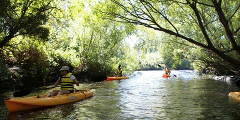 Paddle with the Platypus Adventure