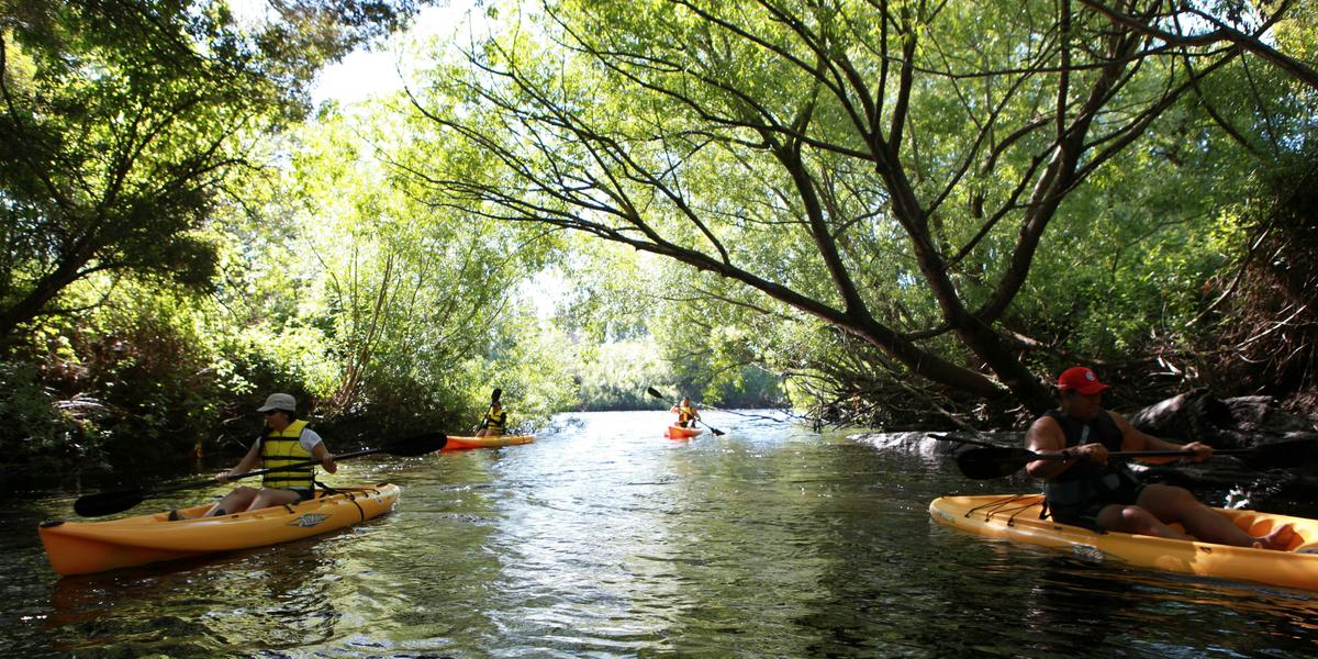 Paddle with the Platypus Adventure