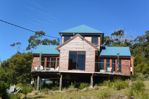 The Tree House