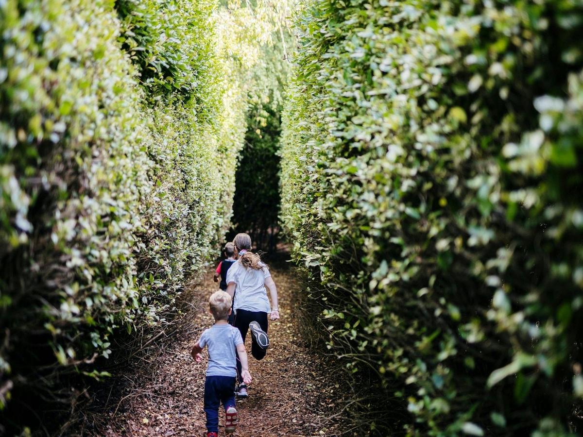 The Great Maze