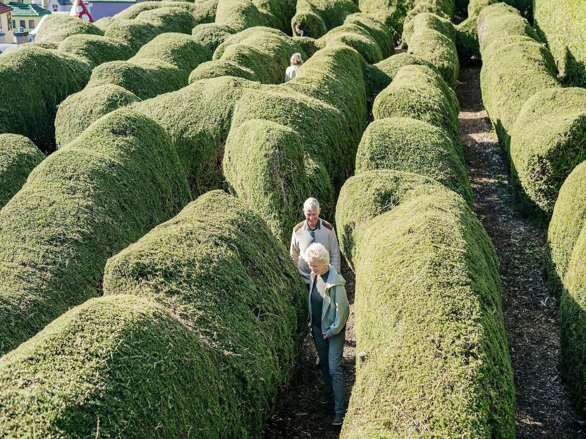 Strolling in Maze