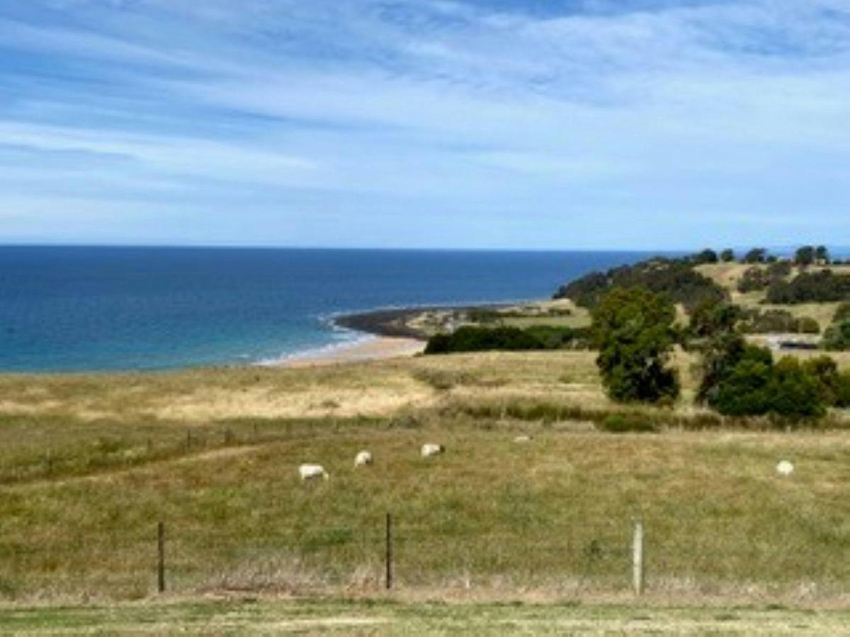 Seaside Farm Penguin