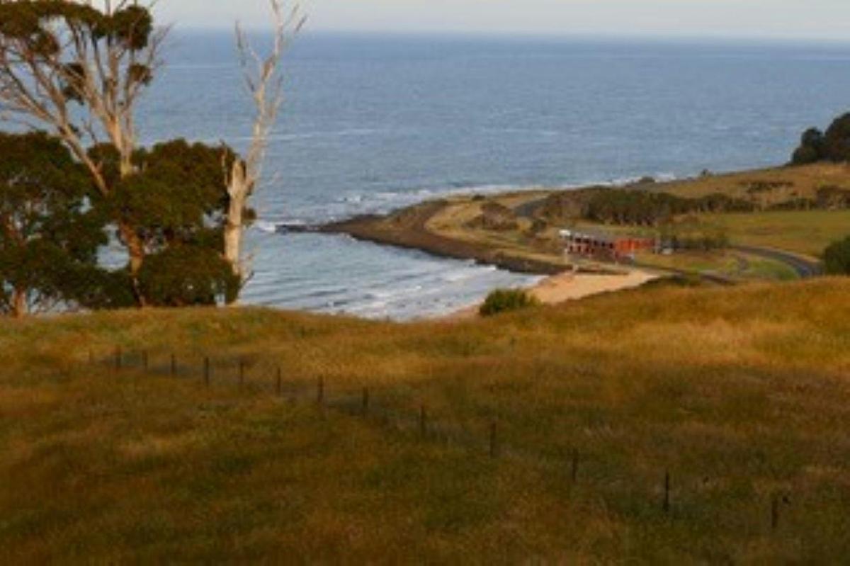 Seaside Farm Penguin