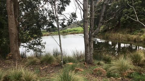 South Preston Dam Camp