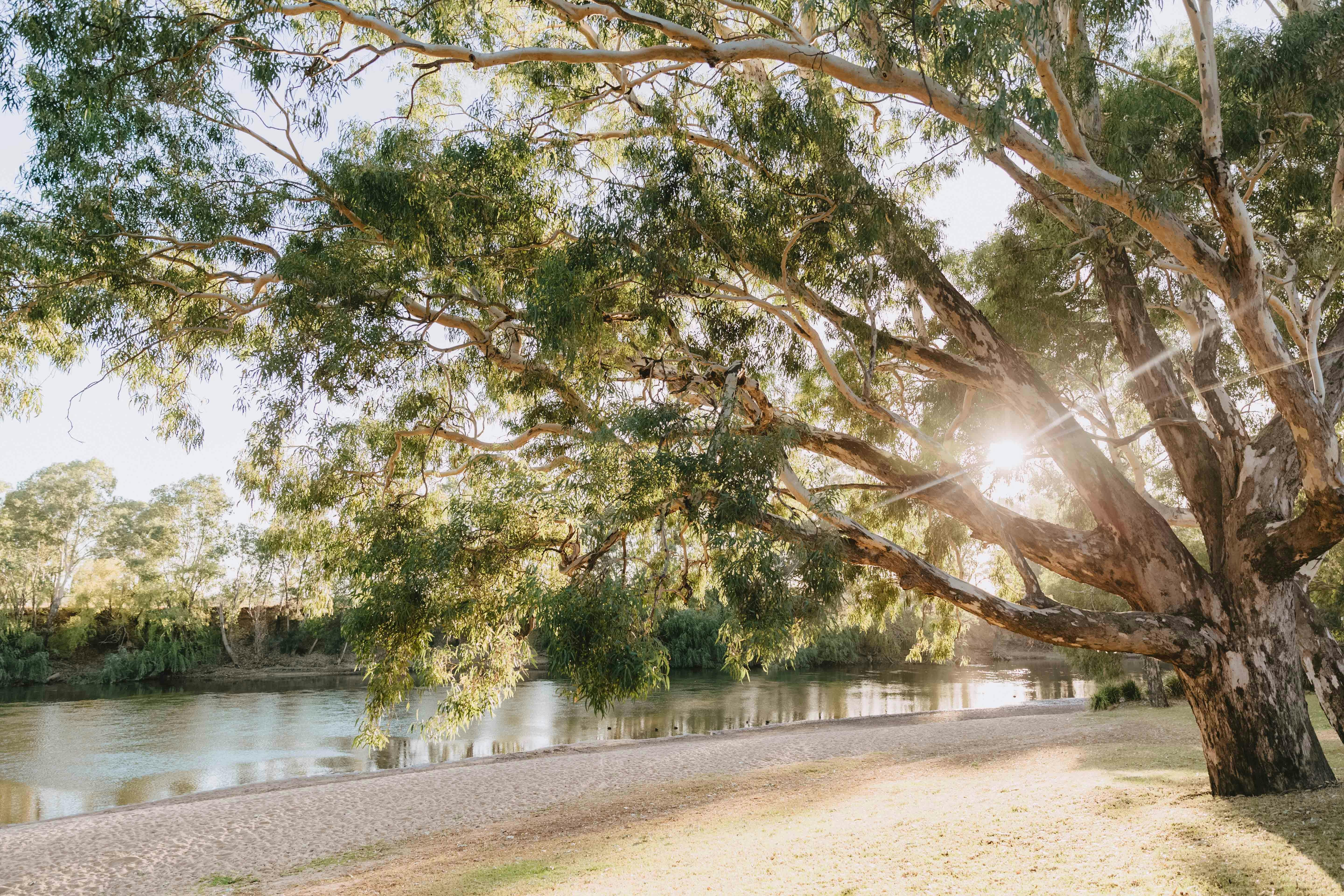 Riverside: Wagga Beach - Beach frontage + riverbank