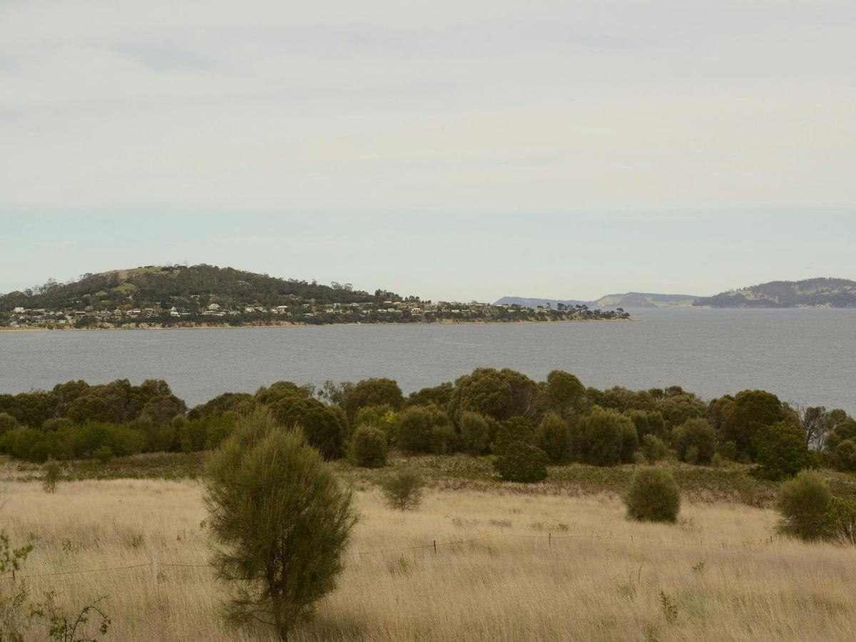 South Arm Peninsula Trail 4