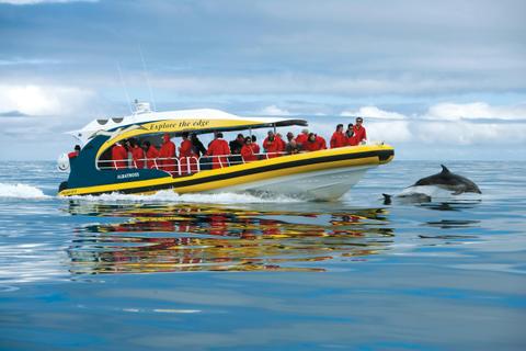 Tasman Island Cruises - Pennicott Wilderness Journeys