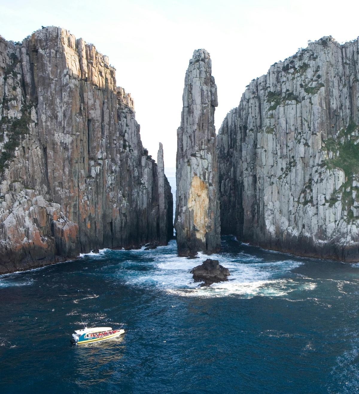 Tasman Island Wilderness Cruise