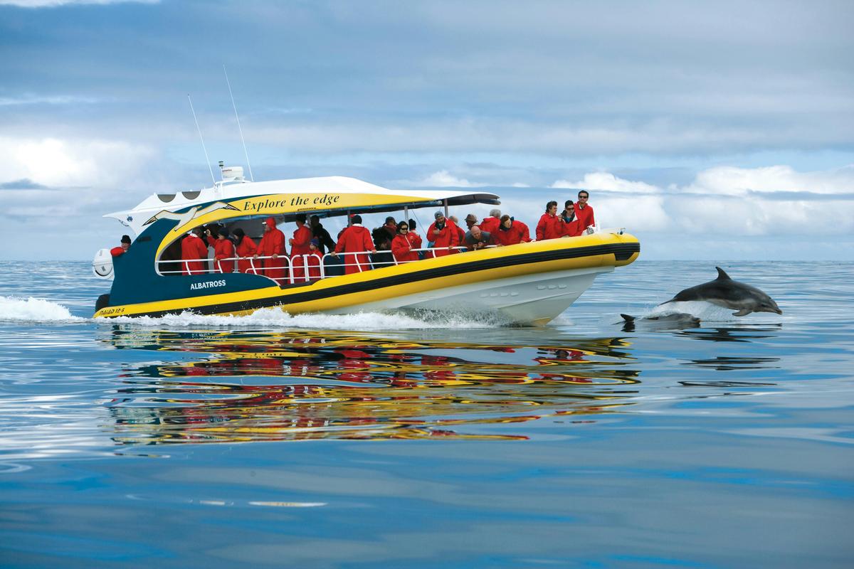 Full Day Tour from Hobart including Port Arthur Historic Site