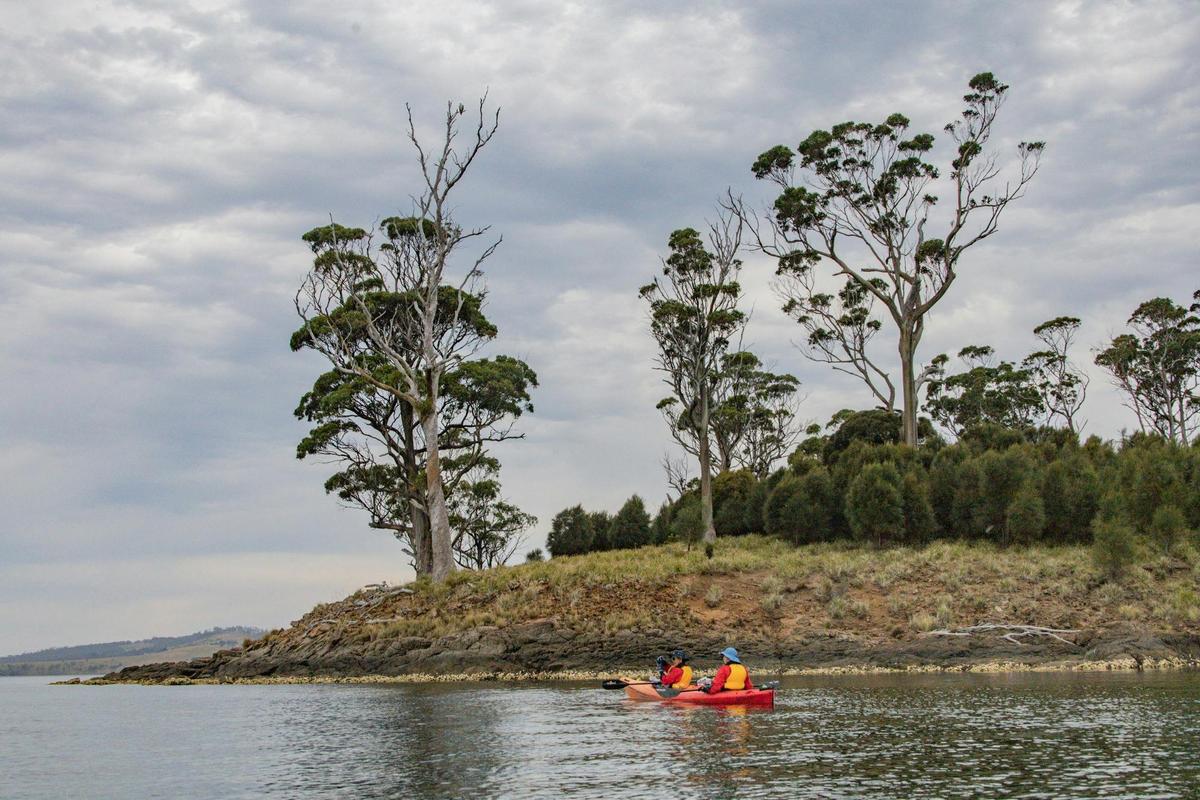 Tasman Peninsula by Sea kayak and whale watch trip