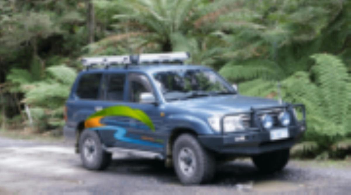 comfortable Toyota Land Cruiser